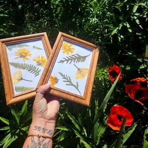 Whimsical pressed botanical set🌿